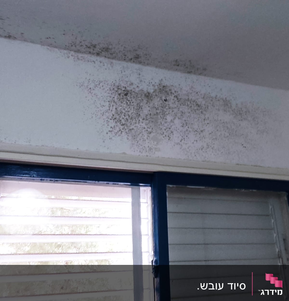 עובש על קיר ותקרה ליד חלון